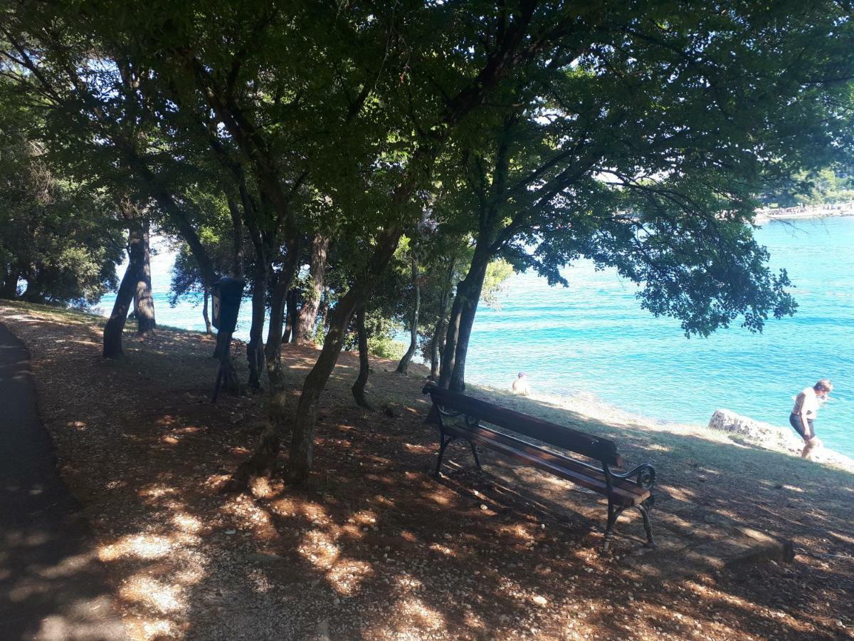 Apartment Terra Rossa Kaštelir Kültér fotó