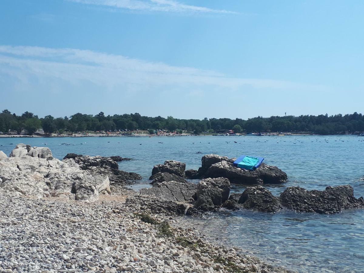 Apartment Terra Rossa Kaštelir Kültér fotó