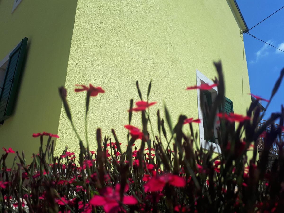 Apartment Terra Rossa Kaštelir Kültér fotó